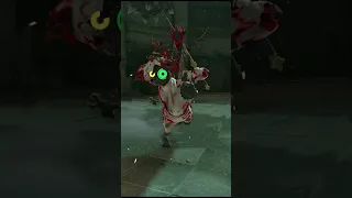 You Don't Need Glitches to Crush Lynels (Zelda Tears of the Kingdom)!