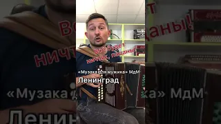 «Музыка для мужика» МДМ Ленинград Гармонь 😄✊🏻