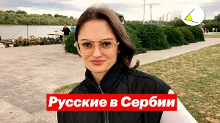 Стоит ли переезжать в Сербию? Опрос россиян в Белграде