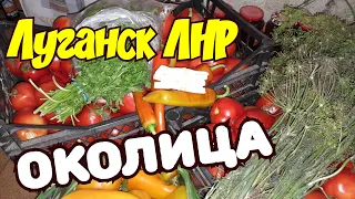 🔴В ЛУГАНСКЕ ЕЗДИЛИ НА ОКОЛИЦУ.🍅🌶 НАБОР ОВОЩЕЙ ДЛЯ КОНСЕРВАЦИИ. ЧТО ПО ЧЁМ. ЛУГАНСК КРЫМ ЕВПАТОРИЯ