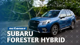 El SUV híbrido más versatil y seguro | Subaru Forester Hybrid 2023 | Prueba en Español | 4K