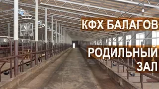 Родильный зал для КРС. КФХ Балагов. Кабардино-Балкария