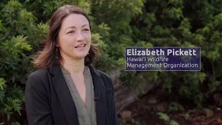 Reducing Hawaii's Wildfire Risk