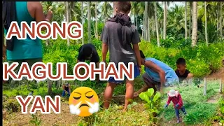 (EP2)ANG BILIS NATAPOS#kalingaprab #richfalcontv #alexlibradavlogs #farming #ofw #ampalaya