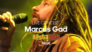 Marcus Gad & Tribe - Ready for Battle Live At Rastaplas Festival Zoetermeer 2023