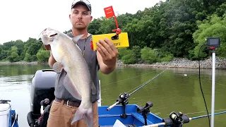 CATFISHING With PLANER BOARDS  (How to Catch Catfish)