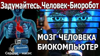 Задумайтесь! Человек-биоробот. Мозг человека-биокомпьютер.