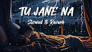Atif Aslam - TU JANE NA (Slowed & Reverb) - Most Demanding Song - Relaxing Love Song🎧❤️