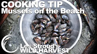 Wild Harvest Cooking Tip | Mussels On The Beach | Episode 2 | Les Stroud