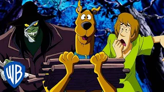 Scooby-Doo! po Polsku 🇵🇱 | Zagubieni w lesie 🏕️ | WB Kids
