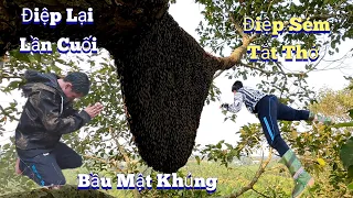 #895.Nổi Ám Ảnh CÂY DẦU Khủng Nhất VL Tổ Ong Hãi Hùng. Floating Haunted Oil Tree Honeycomb Ask Hung