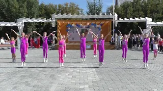 Дети – наше будущее! В Шадринске состоялся фестиваль профессий и открытие «Аллеи первоклассников»