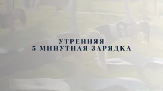 Утренняя 5 минутная зарядка