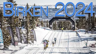 Birken 2024