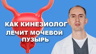 Как работать с мочевым пузырем? Висцеральная терапия.