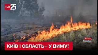 🔥 Київ і область – у диму! Рятувальники другу добу гасять торф'яники