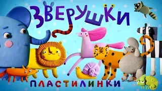 Пластилинки Зверушки 🐯 Все серии подряд  🦊 Премьера на канале Союзмультфильм HD