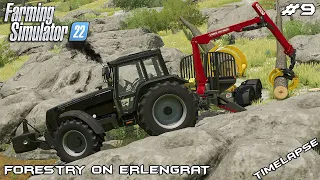 EXTREME logging in ALPS with STEPA | Forestry on ERLENGRAT | Farming Simulator 22 | Episode 9
