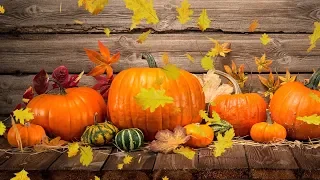 Peaceful music, Beautiful music, Autumn, Relaxing music "Flowers in October" Tim Janis