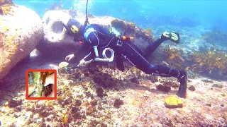 GOLD & Expensive Jewelry Found Buried!! while Underwater Metal Detecting