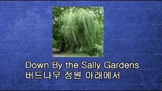 Calum Malcolm - Down By The Sally Gardens - 버드나무 정원 아래에서 2009