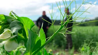 Eso-herne | Asiakaskokemus – Jussi Kangas, Lapua