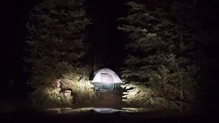 Bigfoot Like Screams Recorded by Hunter in BC