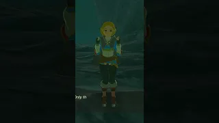 YOU ARE NOT ZELDA!? Do You Also Hate When This Happens? Legend of Zelda, tears of the kingdom #short