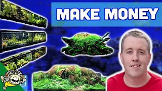 How to Grow Aquarium Plants for Profit - Easy Money