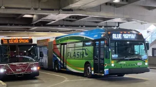 MCDOT Ride On FLASH-BRT 2019 Novabus Low Floor Articulated 46004D On The Blue Line Route