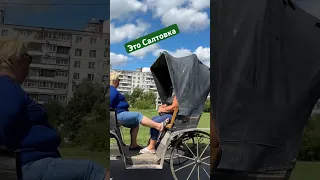 На Карете тебя прокачу 🐴‼️‼️‼️ #kharkiv #ukraine #shortvideo #рекомендации #салтовка #одесса #short