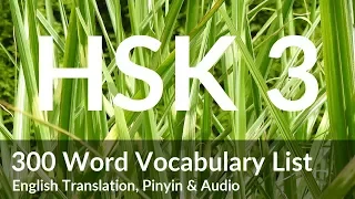 300 HSK 3 Vocabularies with Pinyin, English Translation & Audio