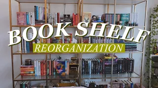 Reorganizing My Book Shelves