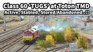 Class 60 LOCOS at Toton TMD - See the Full Mix! Light Engines, Shunting, Stabled, Stored/Abandoned!