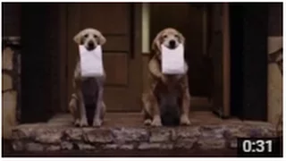 Subaru Dog Tested | Subaru Commercial | Doggie Bag
