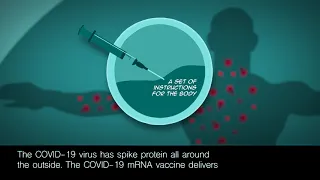 How mRNA vaccines protect us from COVID-19