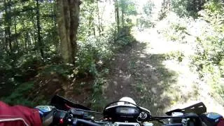 Husqvarna TE 250 Woods ride GoPro