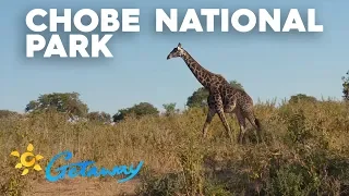 Chobe National Park | Getaway 2019