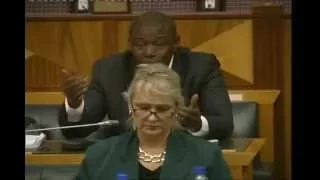 Powers and Privileges Committee on the disciplinary hearing of EFF part 2