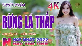 Rừng Lá Thấp, Thành Phố Buồn ♥ Nhạc Trữ Tình Hay Nhất 2022 - Lk Nhạc Vàng Bolero Nhạc Vàng Xưa