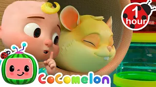 Jellybean the Sleepy Hamster | CoComelon Animal Time - Learning with Animals | Nursery Rhymes