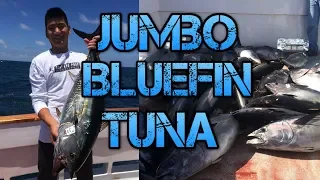 Giant Bluefin Tuna Catch & Cook (How To Fillet Large Tuna)