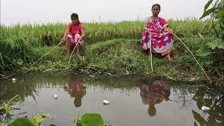 Fishing video ✅ || traditional lady amazing catching hook fishing🎣 in village canal mud water 