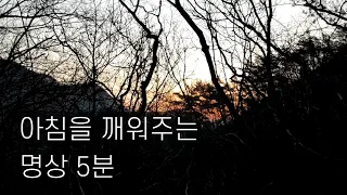 🌞아침명상 5분🙏 _아침을 깨워주는 명상 5분(+새소리)_ 행복한 모닝루틴