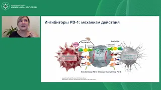 В чем различия анти-PD(L)-1 препаратов? Возможно ли переключение?