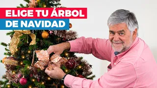 Cómo elegir un árbol de navidad