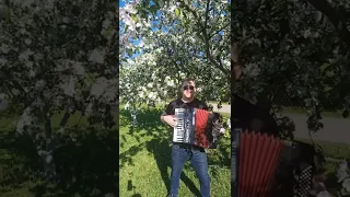 "КОГДА ЯБЛОНИ ЦВЕТУТ" КАВЕР COVER