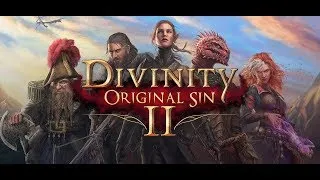 Divinity Original Sin 2 Honor Mode, 4 warriors no ranger / no spells. Part 2