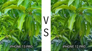 iphone 13 Pro  Vs iPhone 12 Pro | Camera Test