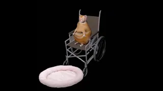 Yoshikage Kira's Theme Goes With Everything - Cat Falling Off Wheel Chair